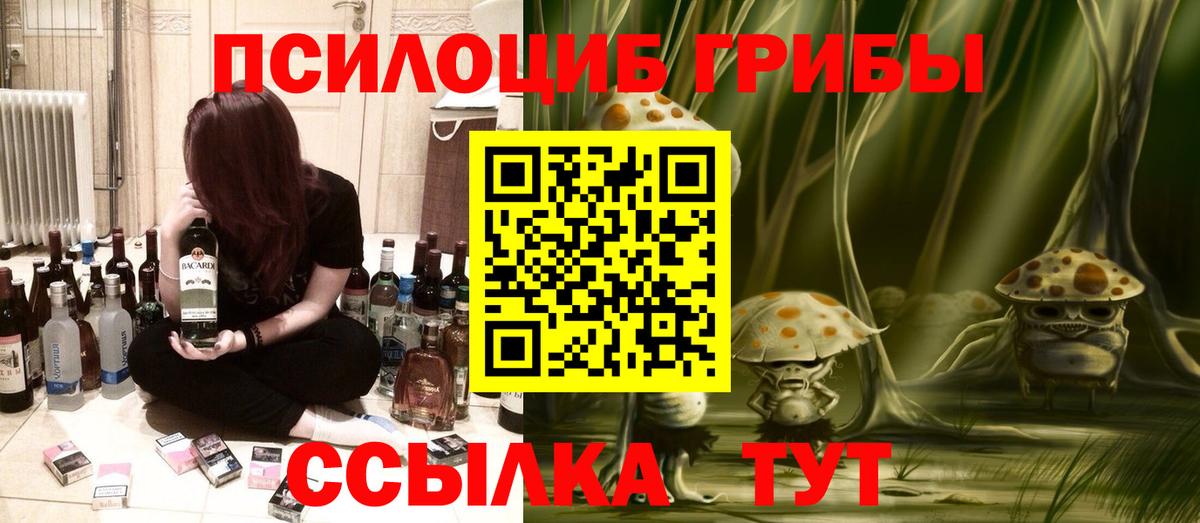 Псилоцибиновые грибы GOLDEN TEACHER  Галлюциногенные грибы Psilocybine cubensis  Керчь  Вход с VPN 