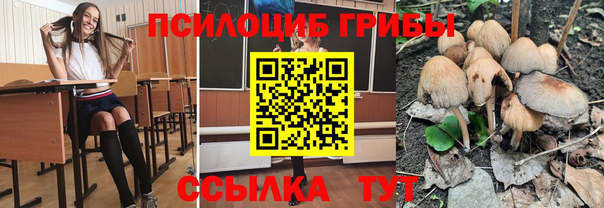 Псилоцибиновые грибы мицелий Керчь